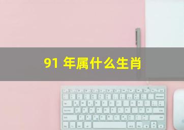 91 年属什么生肖